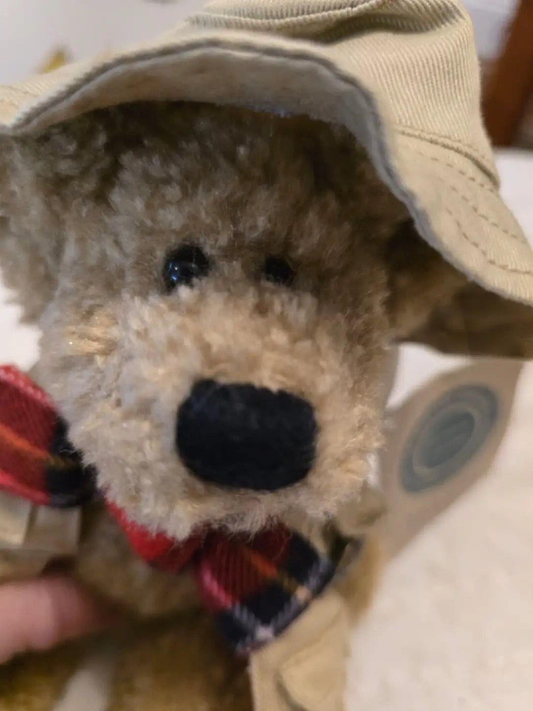 Boyds Bears Thayer Fisherman Collectible Teddy Bear with tag - Bayshore Treasures
