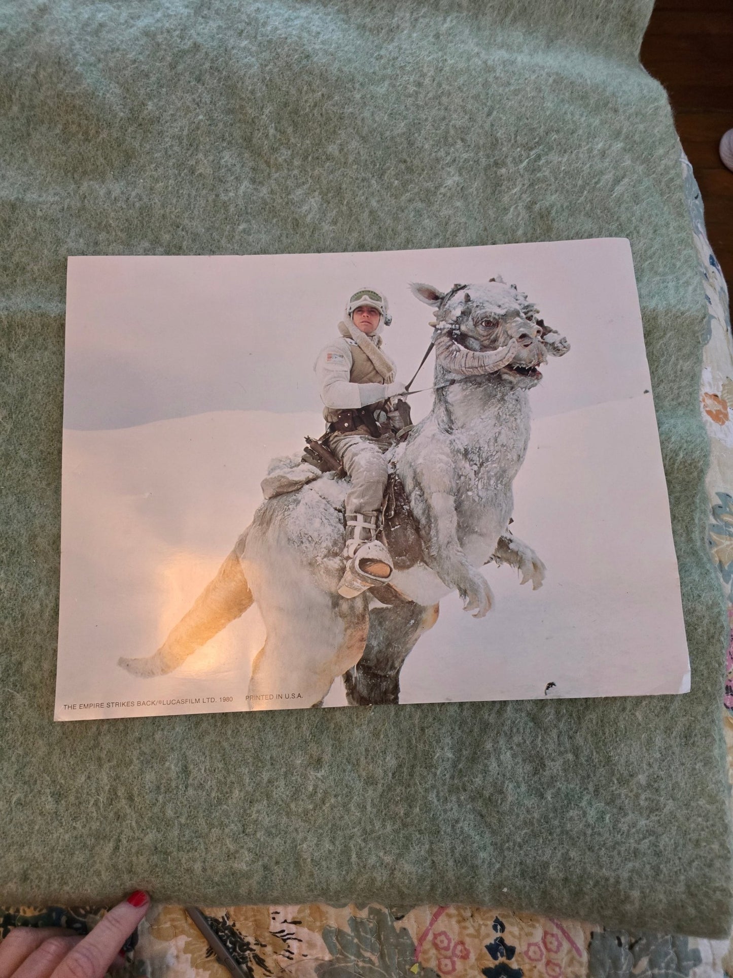 Star Wars Empire Strikes Back 1980 Original Photo Prints Lot of 2 – Luke on Tauntaun & C - 3PO Hoth – Vintage Lucasfilm - Bayshore Treasures