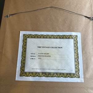 Cathy Rigby Olympic gymnast on bars original photo framed with coa 1972 - Bayshore Treasures