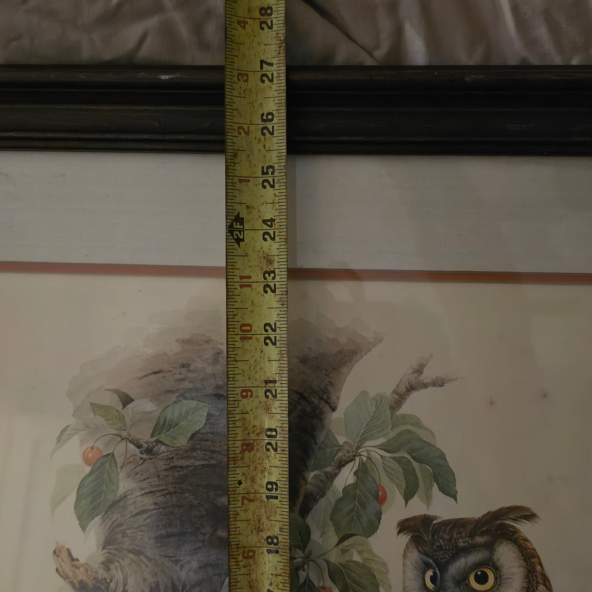Don Whitlatch Signed Long Eared Owl Framed Print Vintage Bird Lithograph Art Plate 1 Rare