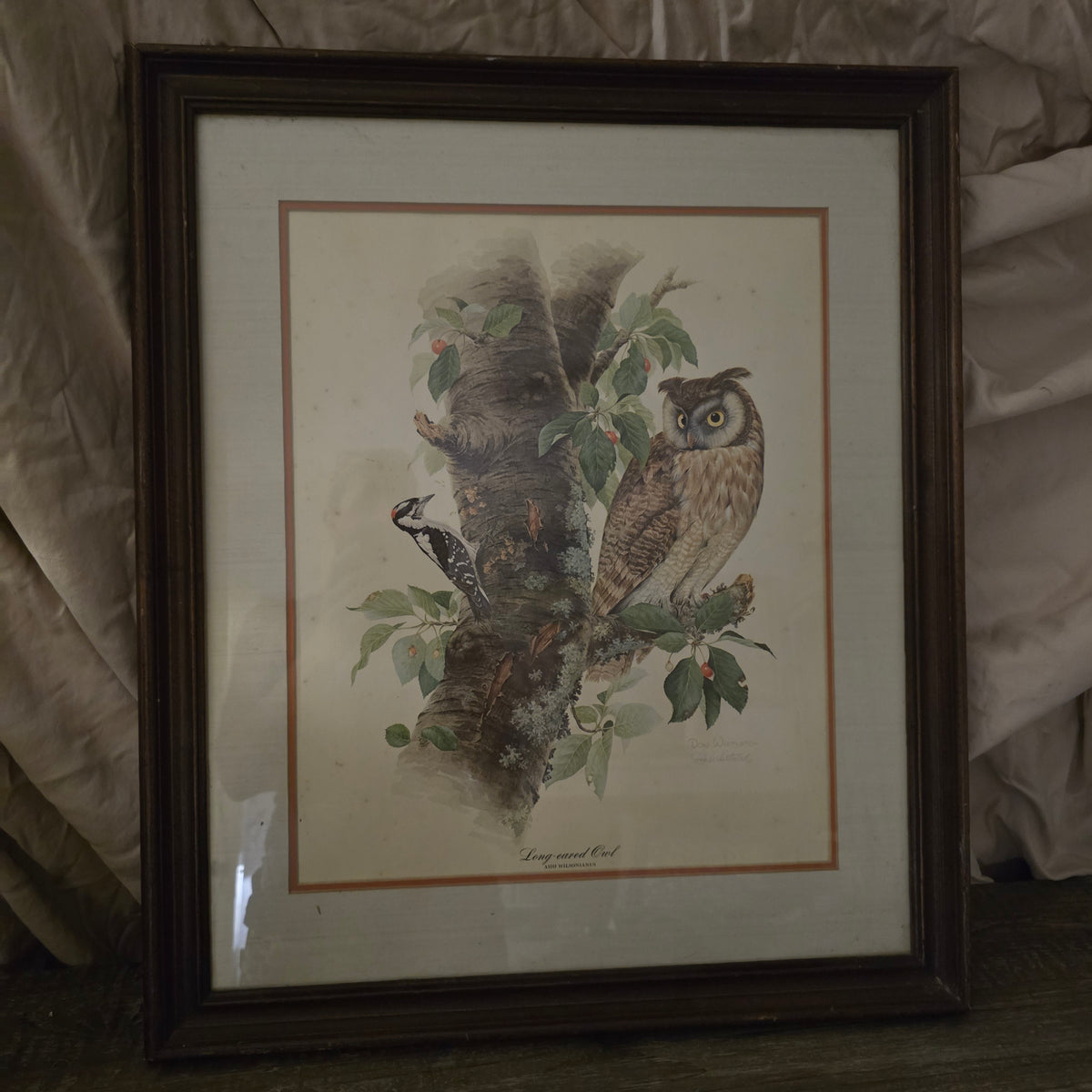 Don Whitlatch Signed Long Eared Owl Framed Print Vintage Bird Lithograph Art Plate 1 Rare