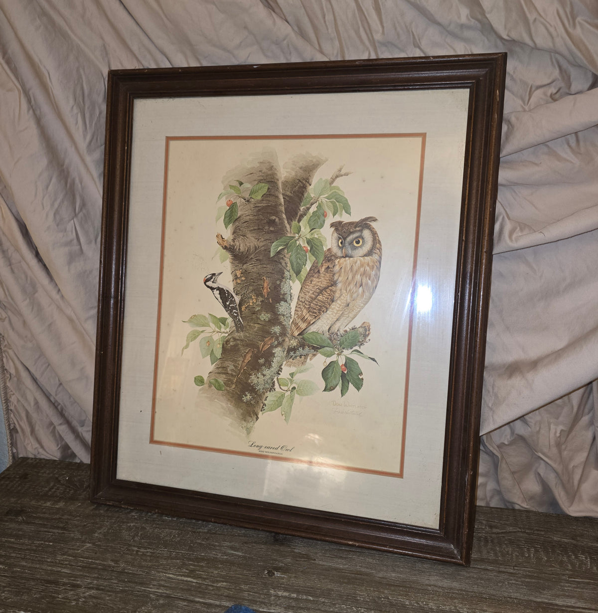 Don Whitlatch Signed Long Eared Owl Framed Print Vintage Bird Lithograph Art Plate 1 Rare