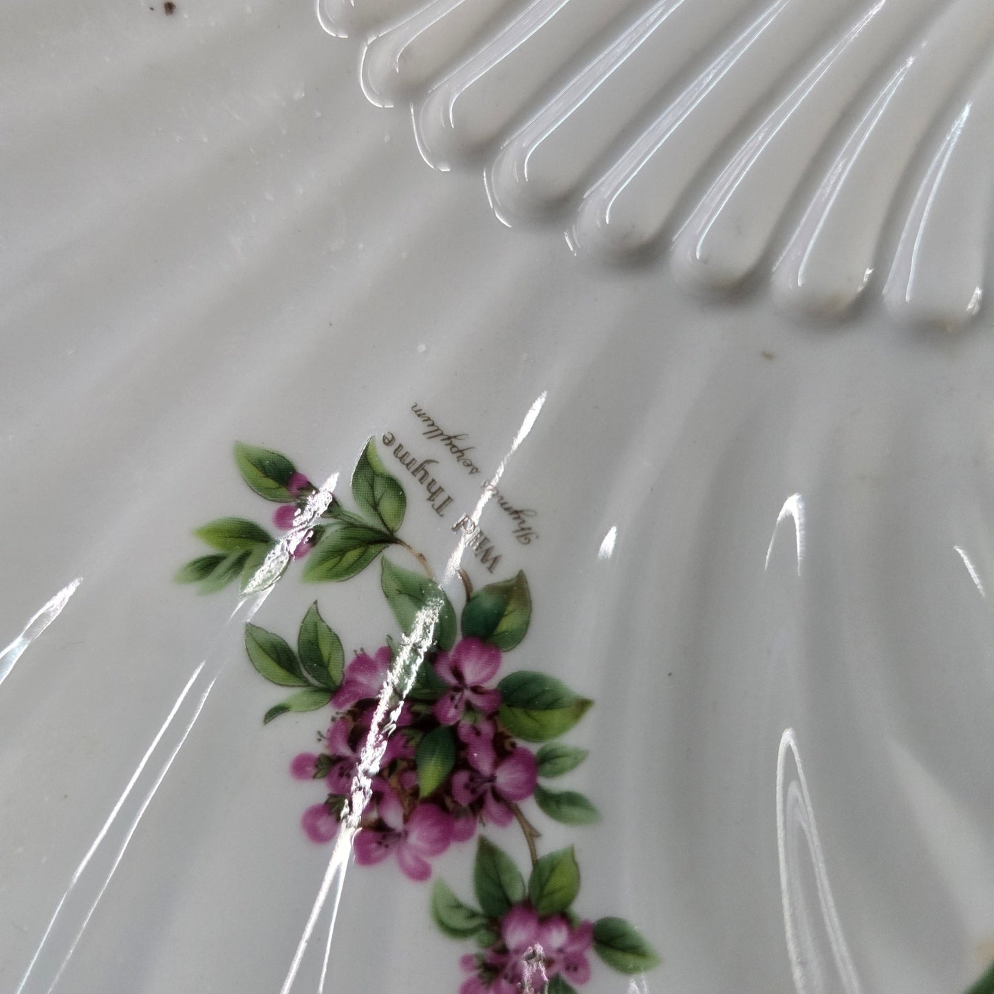 Royal Worcester Worcester Herbs Shell Plate 1990 England Herb Floral Dish - Bayshore Treasures