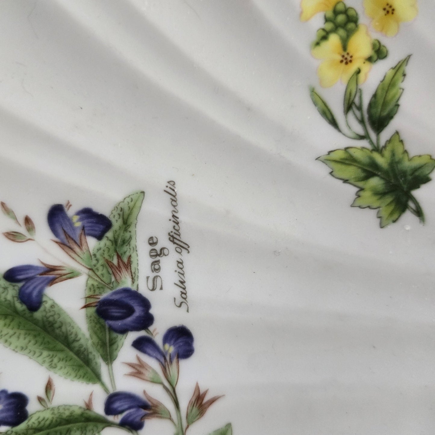 Royal Worcester Worcester Herbs Shell Plate 1990 England Herb Floral Dish - Bayshore Treasures