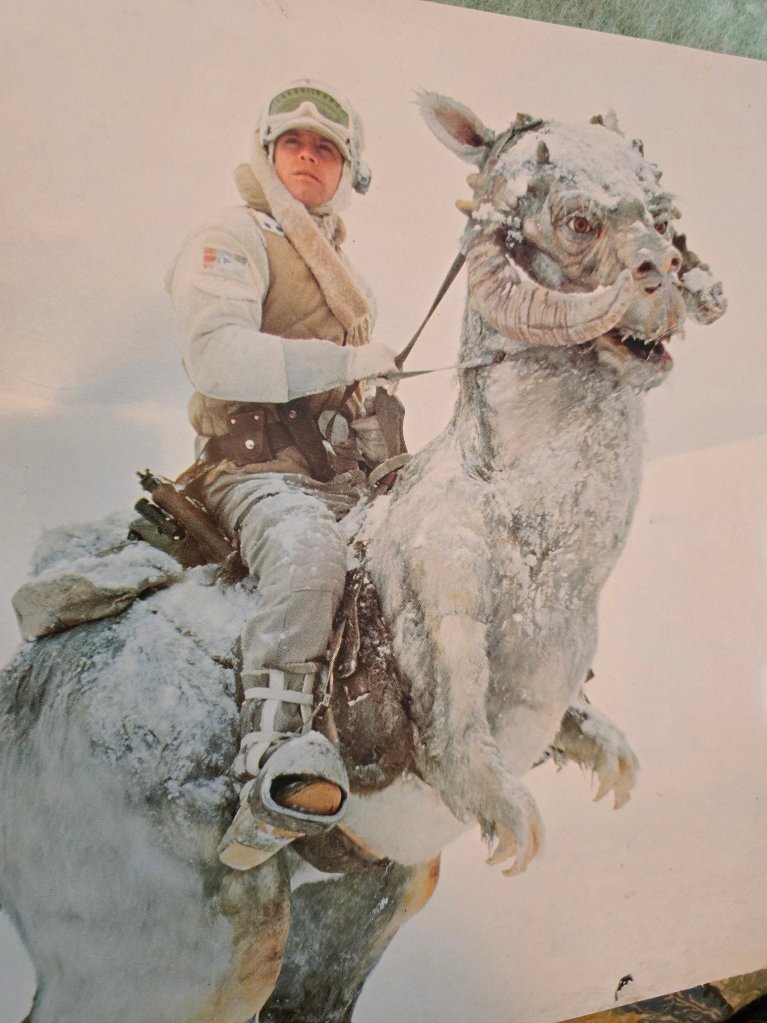 Star Wars Empire Strikes Back 1980 Original Photo Prints Lot of 2 – Luke on Tauntaun & C - 3PO Hoth – Vintage Lucasfilm - Bayshore Treasures