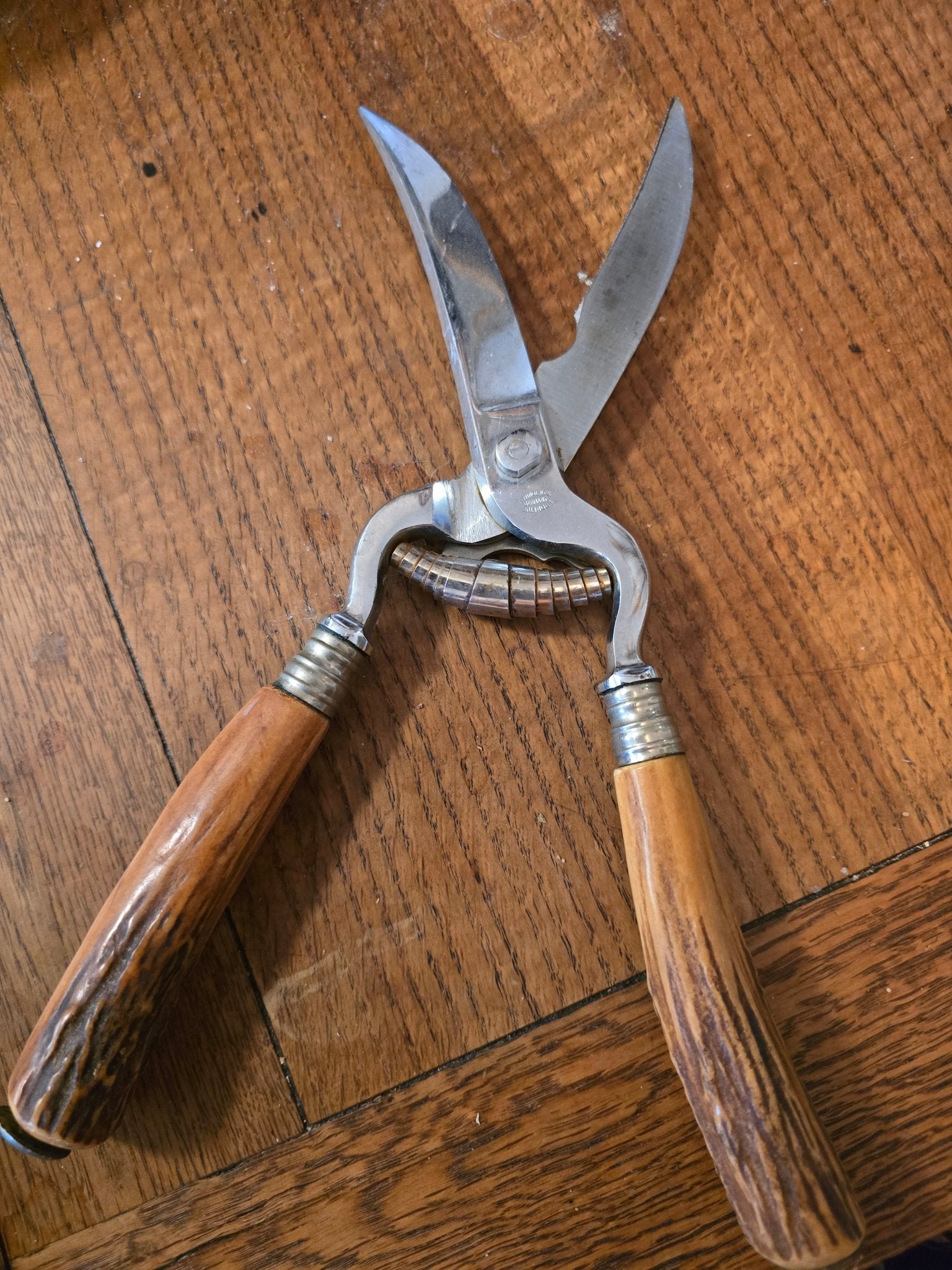 Vintage Anton Wingen Solingen Germany Stag Handle Game Poultry Shears Othello - Bayshore Treasures