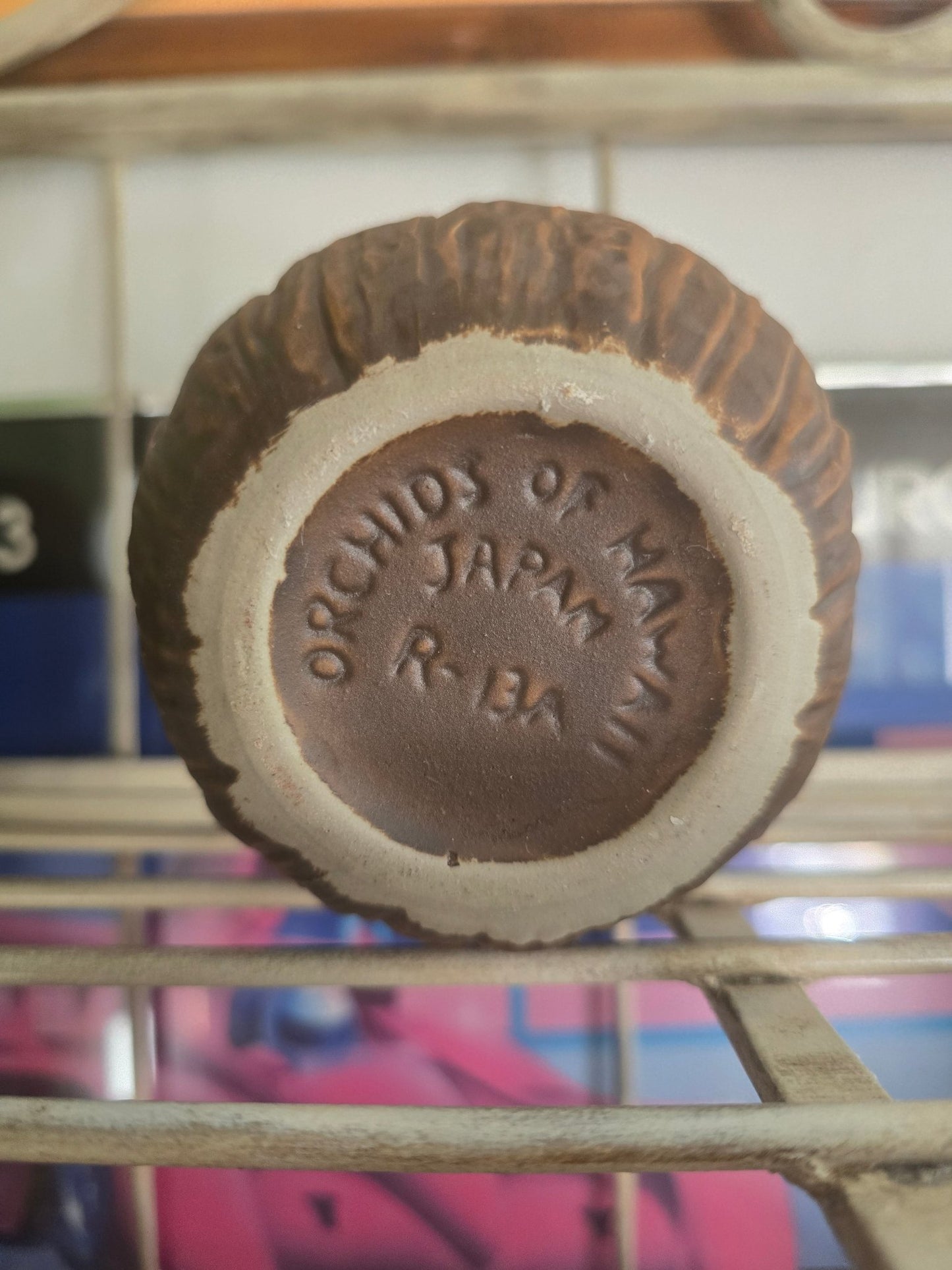 Vintage Tiki coconuts orchids of Hawaii cups mugs glasses - Bayshore Treasures